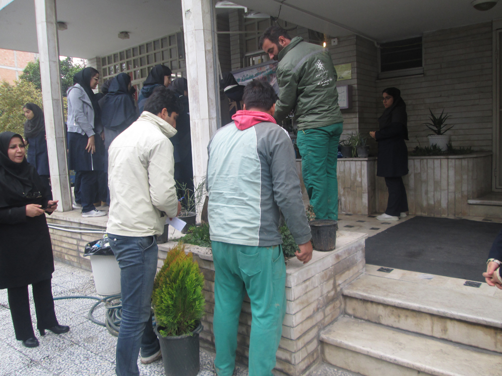 روز درختکاری